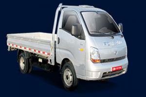 時(shí)代康瑞KQ1兩用燃料車(chē)型激昂上市