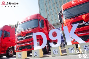 綠通貨運專(zhuān)家  東風(fēng)輕型車(chē)D9K登陸“蔬菜之鄉”