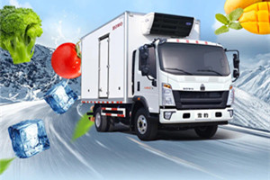 釋放冰鮮實(shí)力  HOWO雪豹冷藏車(chē)守護餐桌上的新鮮