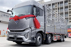 我和我的歐曼：載貨強中強，銀河必上榜！