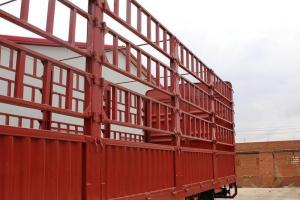 陜汽商用車(chē) 軒德X6中卡 220馬力 6X2 9.6米 國五 倉柵載貨車(chē)(SX5254CCYGP5)