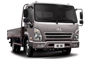 現代商用車(chē) 盛圖H5 141馬力 3.82米 國五排半倉柵式輕卡載貨車(chē)(CHM5042CCYGDC33V)