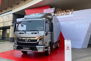 東風(fēng) 凱普特-星云L 163馬力 4×2 國六 載貨車(chē)ZD30豪華版
